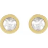 14K Yellow 1-5 CTW Rose-Cut Natural Diamond Threaded Post Earrings-88261