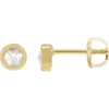 14K Yellow 1-5 CTW Rose-Cut Natural Diamond Threaded Post Earrings 88261